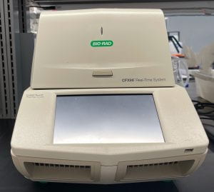 real-time qPCR