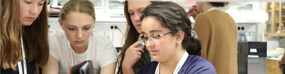 Students work in biomedical engineering lab